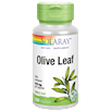 Olive Leaf Solaray S14136