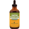 Cactus/Selenicereus grandiflorus ** Herb Pharm CACT6
