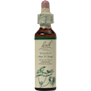 Walnut Flower Essence Nelson Bach WALNU