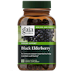 Black Elderberry Gaia Herbs G38120