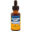 California Poppy/Eschscholzia californica Herb Pharm CA113