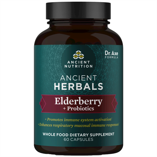 Elderberry + Probiotics 60 caps Ancient Nutrition DA5234