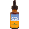 Black Walnut/Juglans nigra Herb Pharm BLA60