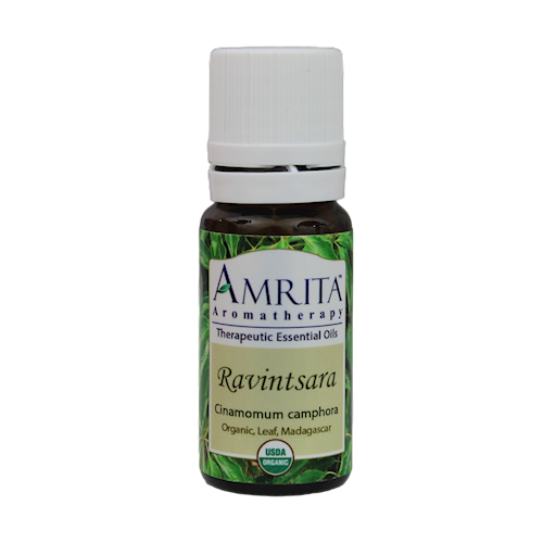 Ravintsara (Organic) 10 ml Amrita Aromatherapy RAVEN