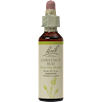 Chestnut Bud Flower Essences Nelson Bach CHEST
