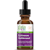 Kids Echinacea/Goldenseal Drops Gaia Herbs ECH50
