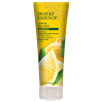 Lemon Tea Tree Shampoo 8 oz