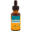 Elecampane/Inula helenium Herb Pharm ELEC9